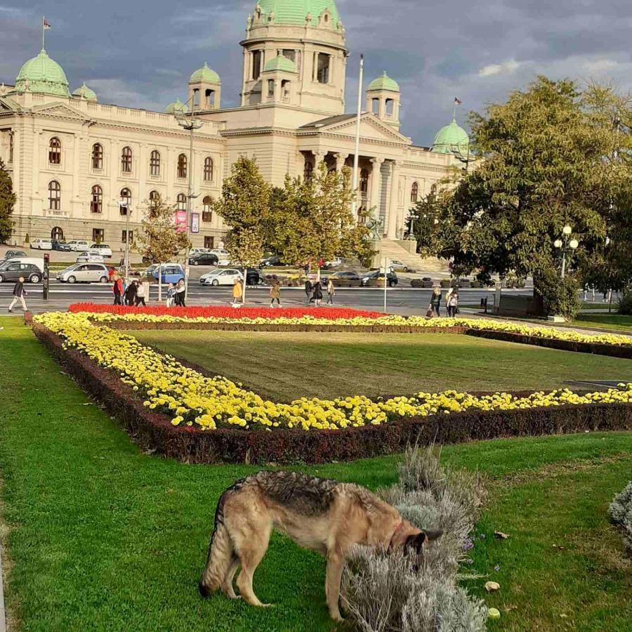 Studio Krunska 6 Belgrad Zewnętrze zdjęcie